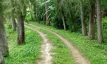 Imagem 2: Lindo Sítio Com 2 casas em Cordeiro