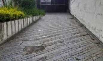 Imagem 2: Duas casas num Amplo terreno