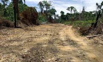 Imagem 4: Fazenda à venda em Uruará - PA