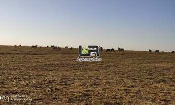 Imagem 4: Fazenda de 405 Alqueires em Ipameri