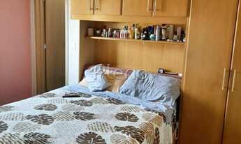 Imagem 6: Casa para locação no Campos Eliseos