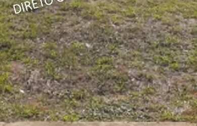 Imagem 4: Oportunidade...!!! Terreno 250m² - Direto com o proprietário - Real Parque Sumaré