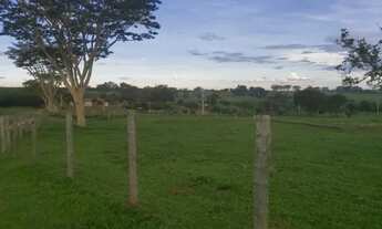 Imagem 6: Sitio em Neves Paulista com 2.36 alqueires excelente estrutura - Troca 100% em Rio Preto!