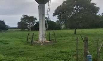 Imagem 7: Sitio em Neves Paulista com 2.36 alqueires excelente estrutura - Troca 100% em Rio Preto!