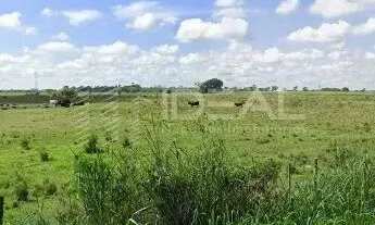 Imagem 3: Terreno Industrial Próximo ao Centro de Campos