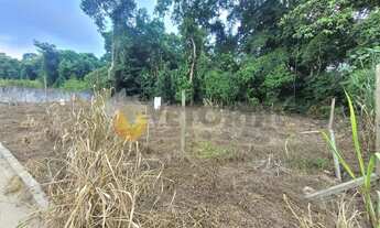 Imagem 5: Terreno à venda, 377 m² por R$ 250.000,00 - Massaguaçu - Caraguatatuba/SP