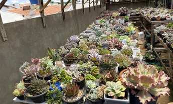 Imagem 2: ÓTIMO SOBRADO À VENDA NO NÚCLEO BANDEIRANTE