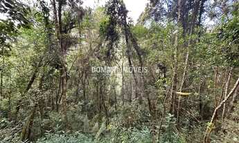 Imagem 2: Ampla Área de Terreno à Venda na Região do Parque da Água Santa - Campos do Jordão/SP