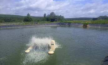 Imagem 3: Sítio Rentável e Produtivo: Avicultura e Piscicultura