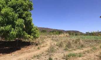 Imagem 2: Terreno de 3.12 hectares Brejo-Ilha 6km Januaria