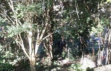 Imagem 3: Terreno de 270 m² no Rio Grande em São Bernardo do Campo - SP