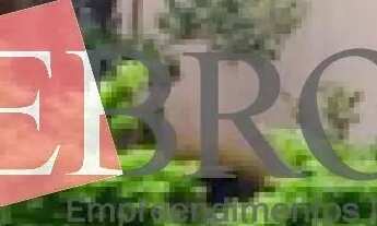 Imagem 4: Galpão para Venda na Vila Esperança!!!