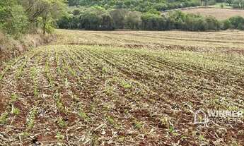 Imagem 4: Área à venda, 580800 m² por R$ 3.500 por Saca de Soja - Zona Rural - São Pedro do Iguaçu/P