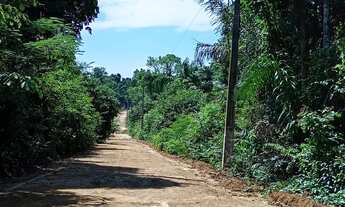 Imagem 2: Imóvel para venda possui 300 metros quadrados em Compensa - Manaus - AM