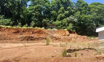 Imagem 6: Terreno à Venda em Três Palmeiras: Oportunidade Única!
