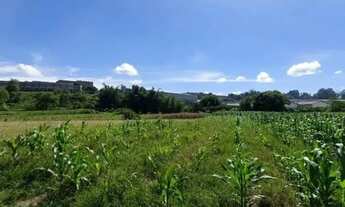 Imagem 2: AREA - JARDIM MARAGOJIPE - SP