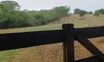 Imagem: Fazenda 17 alqueires em Orizona-Go