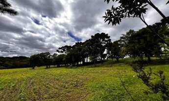 Imagem 4: Terreno para Venda em São José dos Pinhais, Jurema