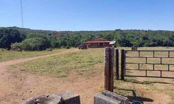 Imagem 2: Fazenda à Venda em Aruanã - GO | 100 Alqueires