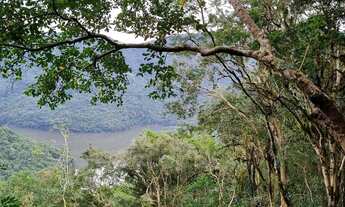 Imagem 4: Hectares para chácara