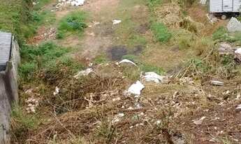 Imagem 3: Terreno em São Domingos - São Paulo, SP