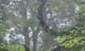 Imagem 3: Terreno à venda em Pacaembu - SP