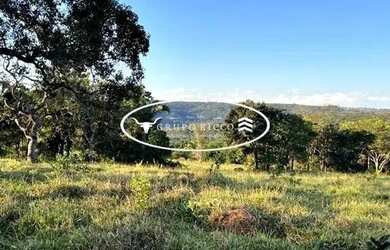 Imagem 7: Fazenda de Oportunidade à Venda em Iporá-GO | 38 Alqueires