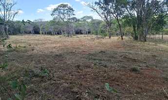 Imagem 3: CHÁCARA 30.000 METROS - 1KM ASFALTO e 7KM UBERLÂNDIA