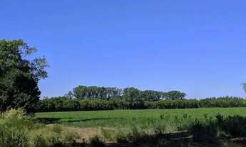 Imagem: Terreno barato em Ibiúna com estrada excelente