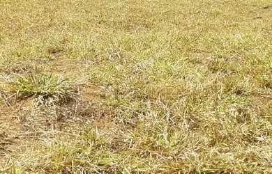 Imagem 6: 2 Lotes a venda, 360m² cada um - Residencial Jardins Do Cerrado 2 - Goiânia/GO