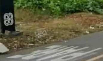 Imagem 3: Terreno para Venda em São José dos Pinhais, Borda do Campo