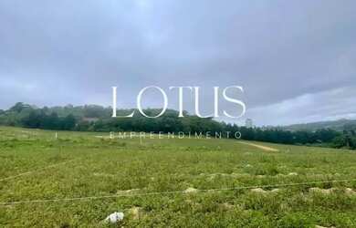 Imagem 7: 86c- COTIA TERRENOS PLANOS COM GRANDE POTENCIAL