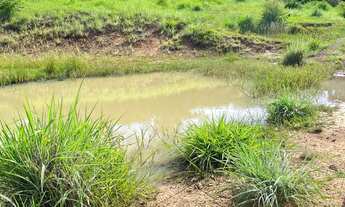 Imagem: Chácara a venda em Ipora