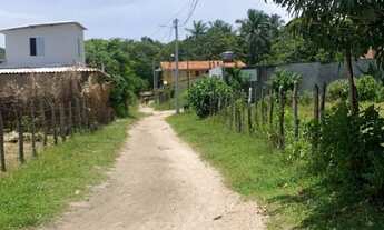 Imagem 3: Vendo lotes em Boipeba-ba.