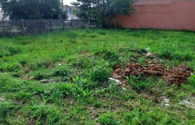 Imagem 4: Você está prestes a encontrar o terreno dos seus sonhos!