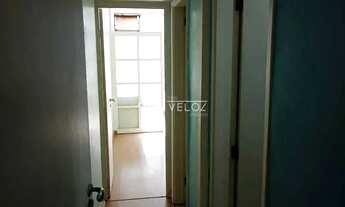 Imagem 3: Apartamento - / Residencial / Catete