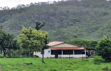 Imagem 4: Fazenda com 64 Alqueires (309,76 hectares) Região Orizona/Luziânia GO Riquíssima em Água