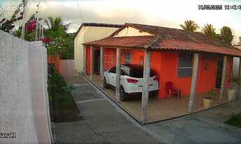 Imagem 2: Cachará em Boquim Sergipe