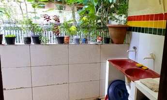 Imagem 4: Casa dos açaizeiros em Alter do Chão