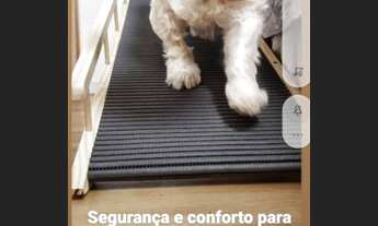 Imagem 2: Indústria de Acessórios Pet no Interior Fat. R$ 90.000 Mil Liq. R$35.000