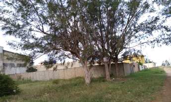 Imagem: Excelente lote!