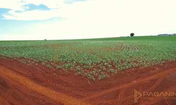 Imagem 3: VENDA Fazenda / sítio com venda por R$6.400.000