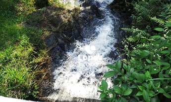 Imagem 7: Terreno à venda, 1500 m² por R$ 520.000,00 - Centro (Mailasqui) - São Roque/SP