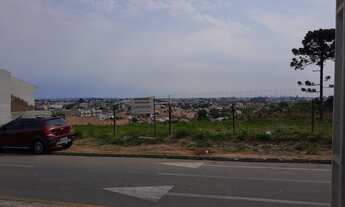 Imagem 3: APARTAMENTO TÉRREO EM PINHAIS