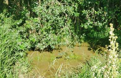 Imagem 7: 3 Alqueires em Monte Sião - MG 100% Mecanizavel, Vista para as Montanhas
