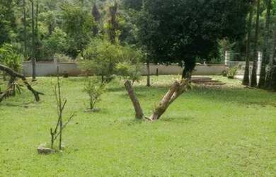 Imagem 5: CHÁCARA com 5 dormitórios à venda com 31000m² por R$ 650.000,00 no bairro Porto de cima