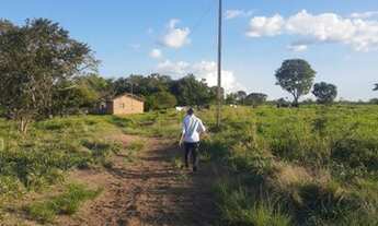 Imagem: Fazendinha 32 alqueires! 17 km de Eldorado!