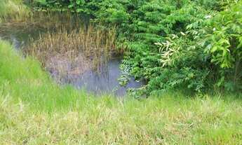 Imagem 5: Fazenda/Sítio/Chácara para venda com 100000 metros quadrados em Praia Bela - Pitimbu - PB