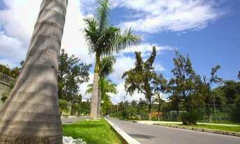 Imagem 4: Lotes em Betim Mg