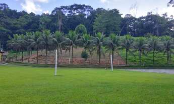 Imagem 4: Fazenda/Sítio/Chácara para venda possui 60000 metros quadrados em Parada Modelo - Guapimir